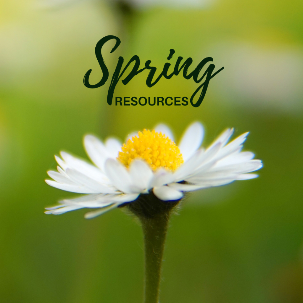 Spring Resources
